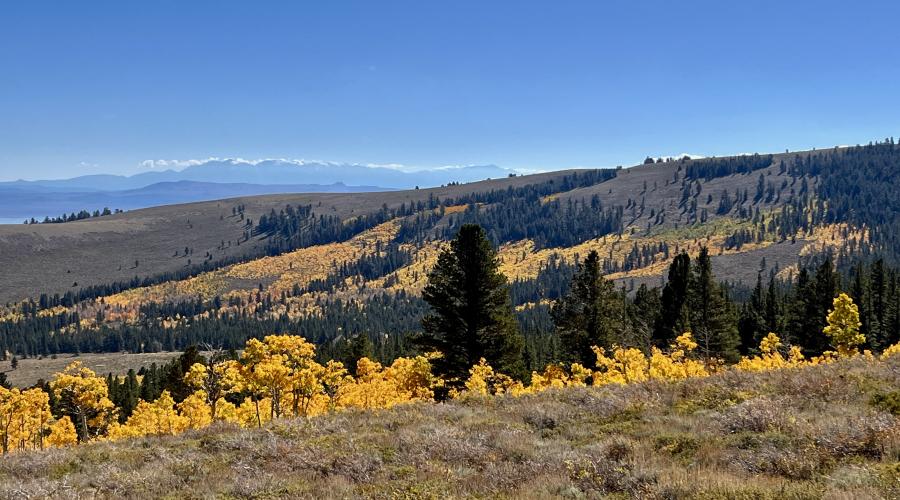 10.06.25 Dunderberg Meadow Road - Emily Bryant, Mono County Tourism