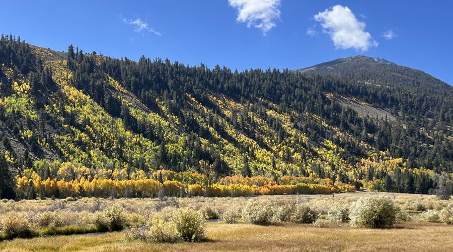 10.06.25 Green Creek- Emily Bryant, Mono County Tourism