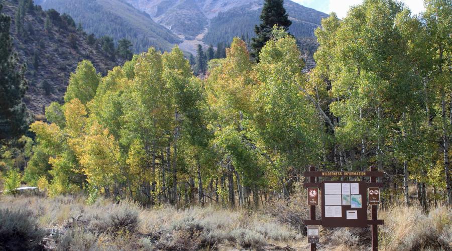 10.7.24 Cattle Creek Trailhead Bridgeport fall colors