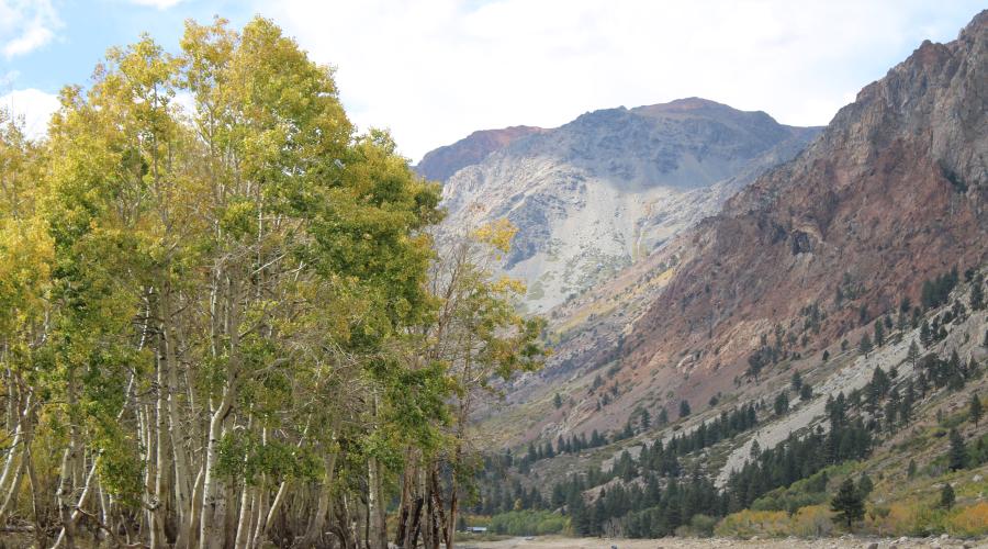 10.7.24 Lundy Lake fall colors