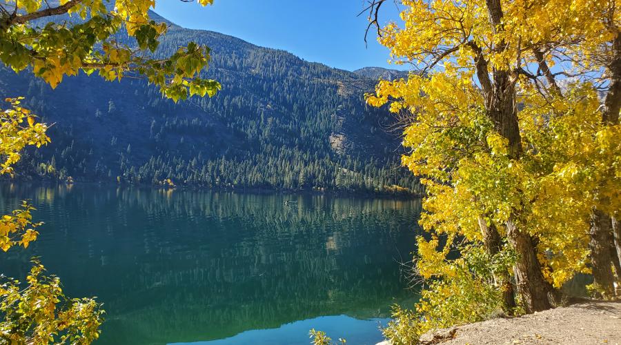 10.8.2025 Twin Lakes - Sarah Vardaro, Mono County Tourism