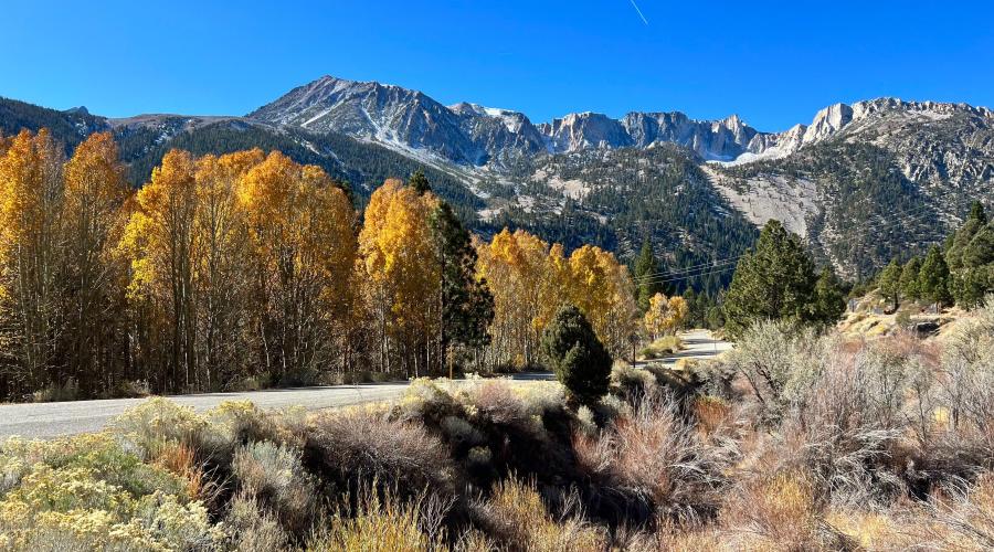 11.4.24 Lee Vining Canyon by Amanda Carlson with Mono County Tourism