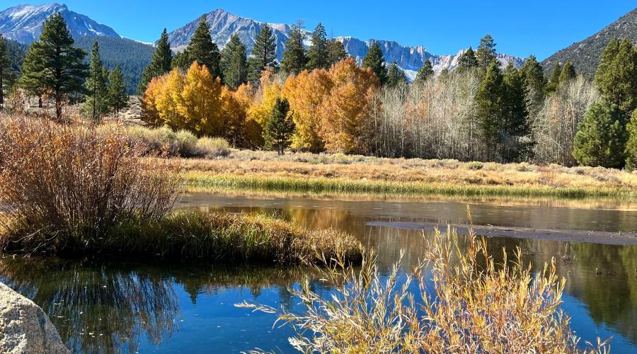 11.4.24 Lee Vining Canyon by Amanda Carlson with Mono County Tourism-14