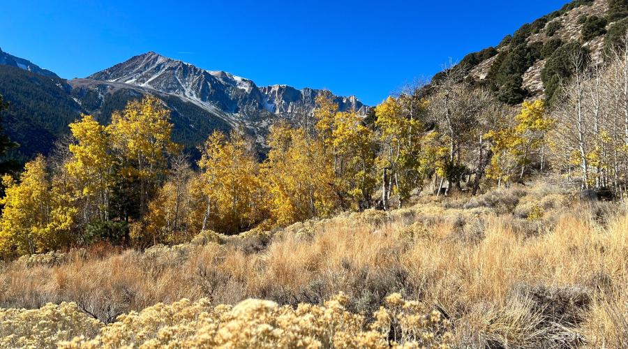 11.4.24 Lee Vining Canyon by Amanda Carlson with Mono County Tourism