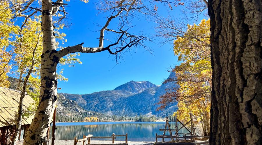 11.4.24 June Lake Loop by Amanda Carlson with Mono County Tourism