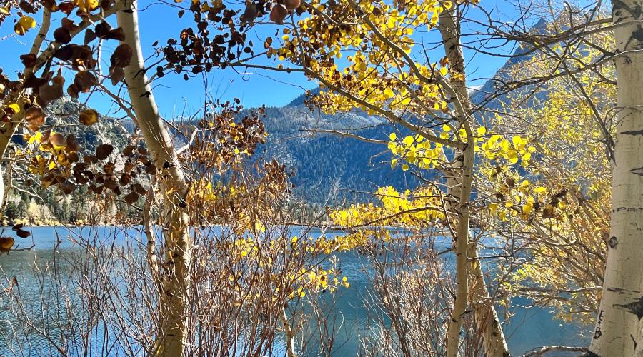 11.4.24 June Lake Loop by Amanda Carlson with Mono County Tourism