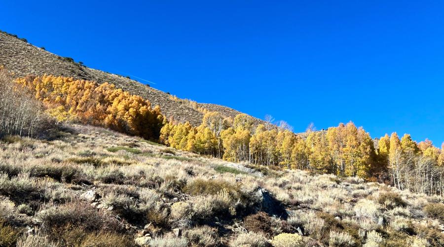 11.4.24 June Lake Loop by Amanda Carlson with Mono County Tourism