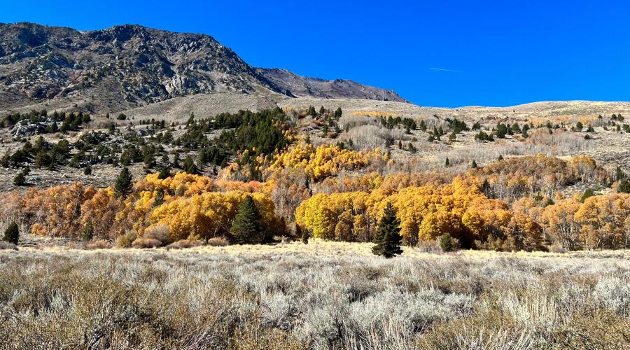 11.4.24 June Lake Loop by Amanda Carlson with Mono County Tourism