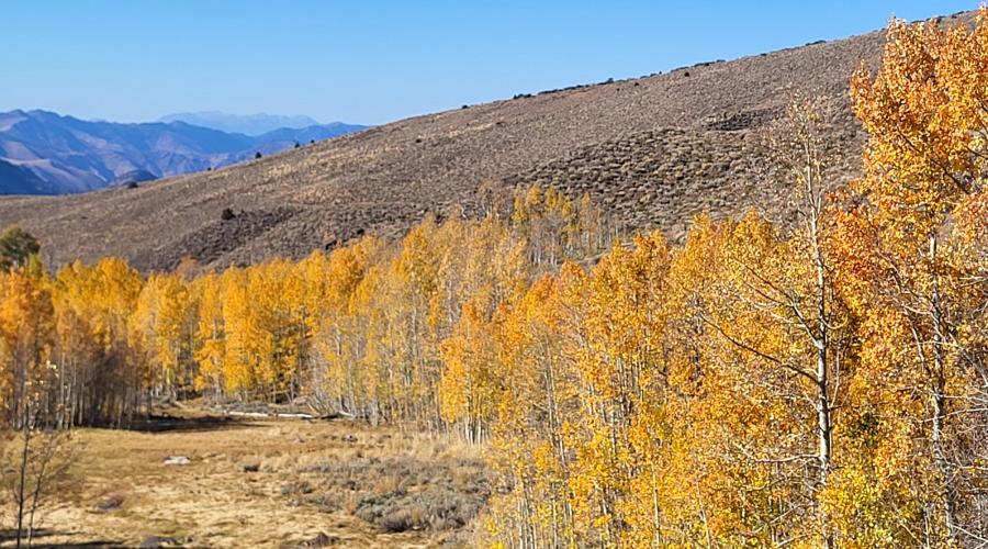 10.15.24 Lobdell Lake - Marcella Rose, Mono County Tourism 2 fall colors