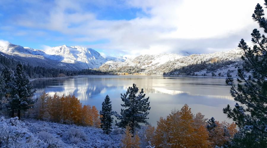 Fall Colors in Winter