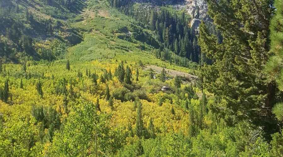 Upper Green Creek Fall Colors