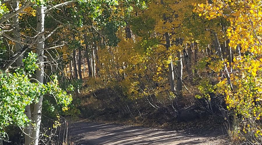 10.15.24 Lobdell Lake - Marcella Rose, Mono County Tourism 3 fall colors