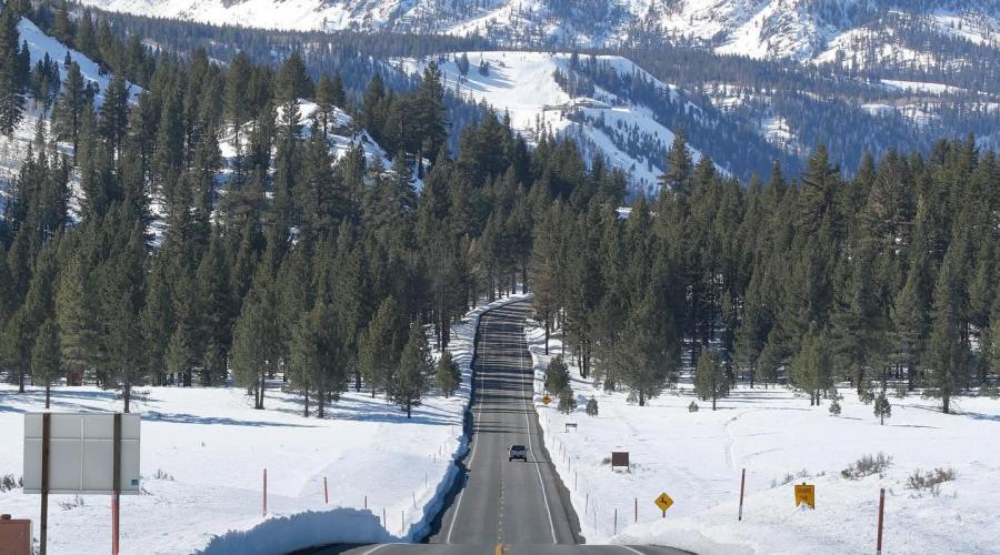 Virginia Lakes Road