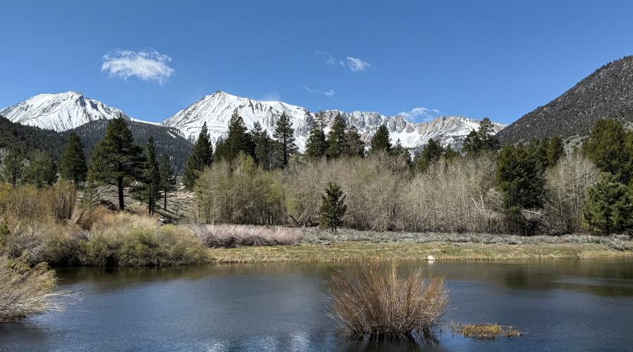 4.16.26 The Pond, Lee Vining