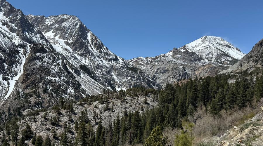 4.16.26 Tioga Pass Road