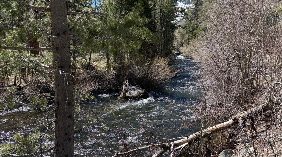4.7.26 Rush Creek, June Lake Loop