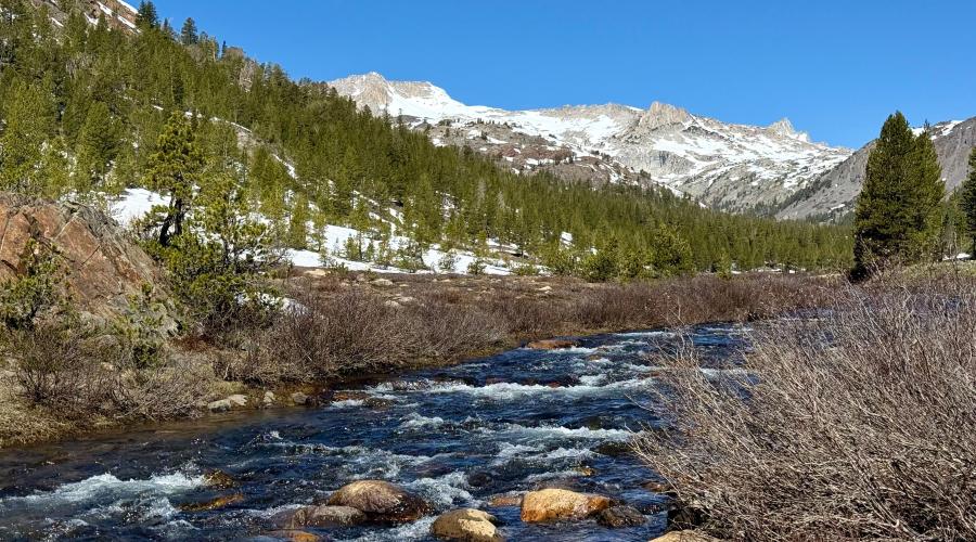 5.15.26 Lee Vining Creek along Saddle Bag Lake Road