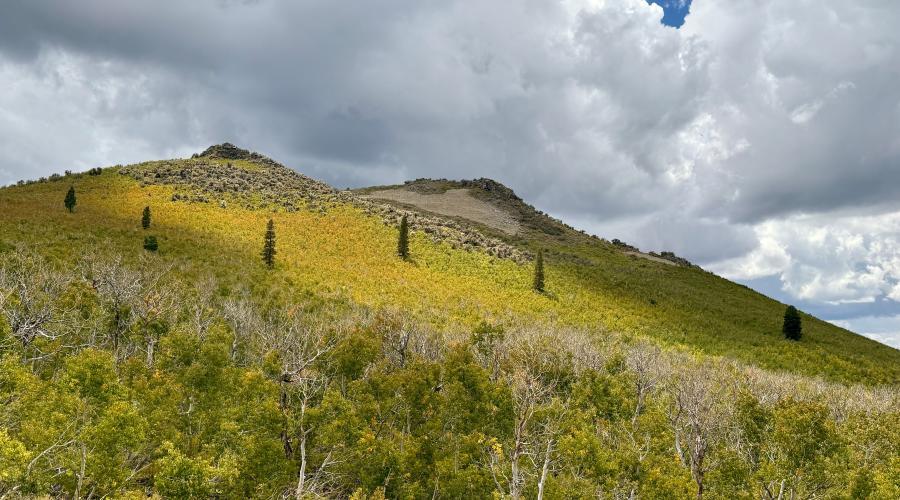 Cloudy skies over Sagehen Summit with some fall colors beginning painting the image with yellow, green and some orange.