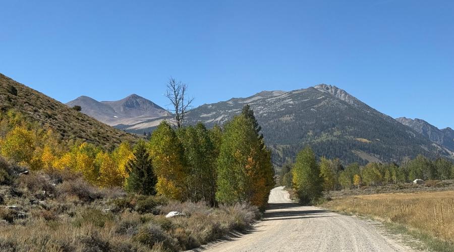 9.14.26 Green Creek Road - Amanda Carlson, Mono County Tourism