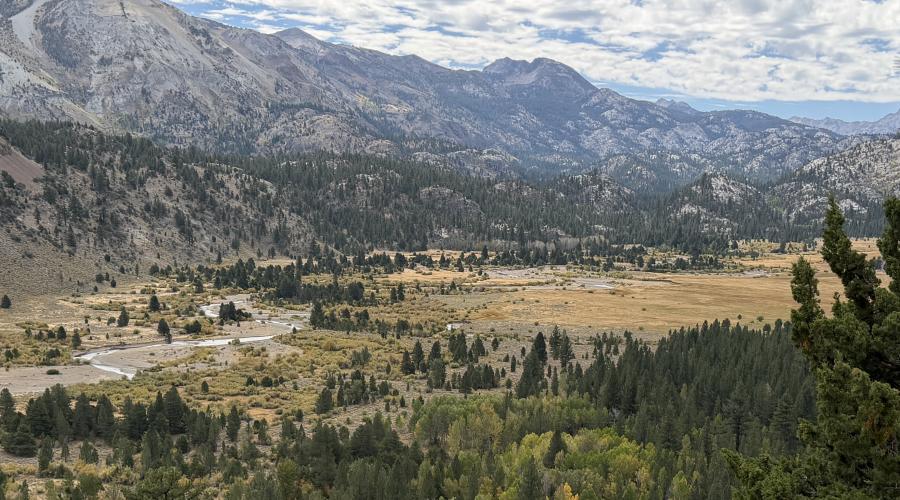 9.15.26 Leavitt Meadows - Emily Bryant, Mono County Tourism