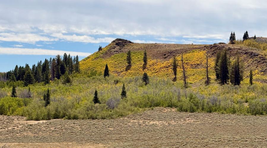9.15.26 Monitor Pass - Amanda Carlson Mono County Tourism