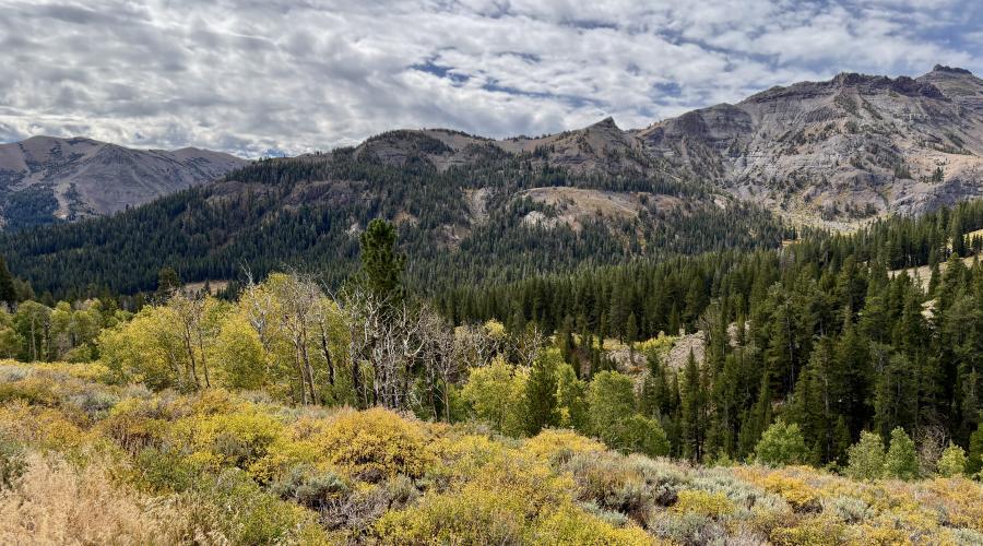 9.15.26 Sonora Pass - Emily Bryant, Mono County Tourism