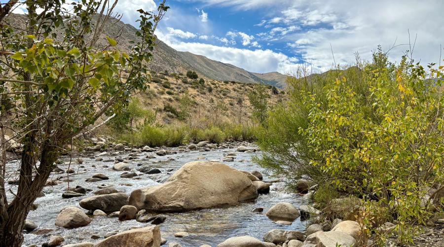 9.15.26 Walker River - Amanda Carlson, Mono County Tourism