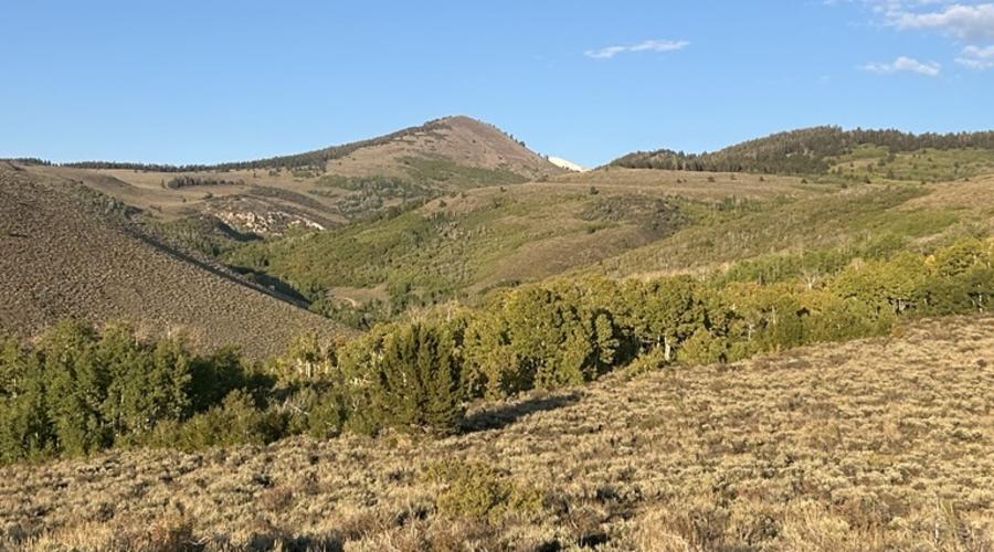 9.16.25 Lobdell Lake Road - Liz Grans, Mono County Tourism