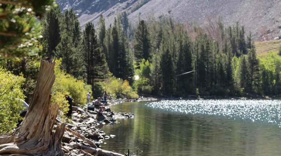 the shoreline of big virginia lake with people fishing