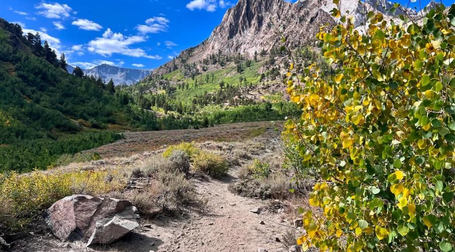 9.1.24 McGee fall colors - Allison Shaw 2