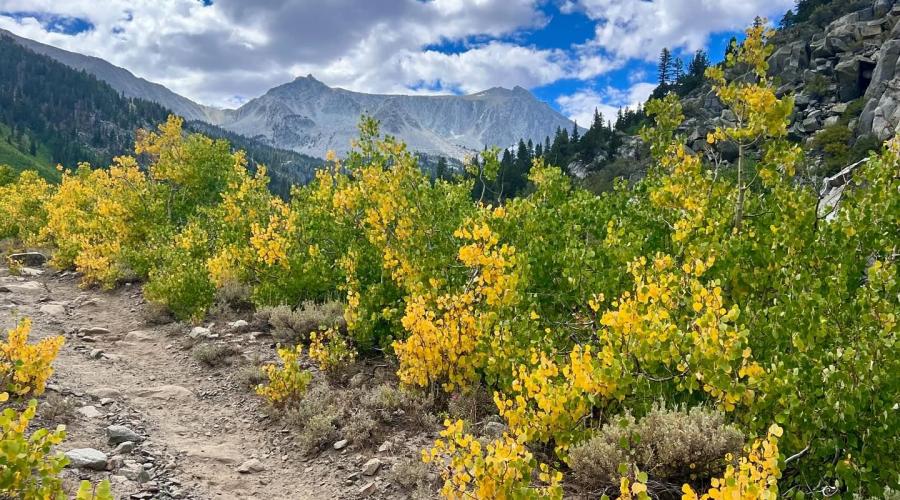 9.1.24 McGee fall colors - Allison Shaw