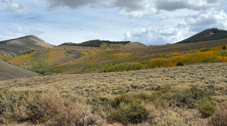 9.21.26 Lobdell - Stehpanie UrbanWolff, Mono County
