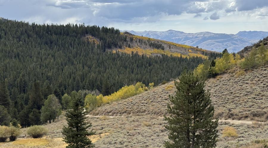 9.21.26 Lobdell - Stehpanie UrbanWolff, Mono County