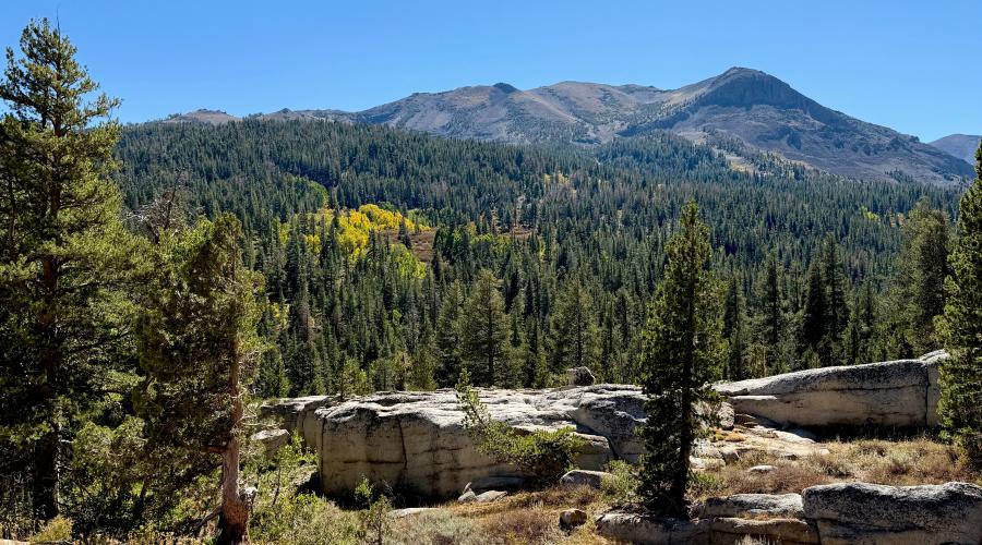 9.22.25 Sonora Pass - Amanda Carlson, Mono County Tourism