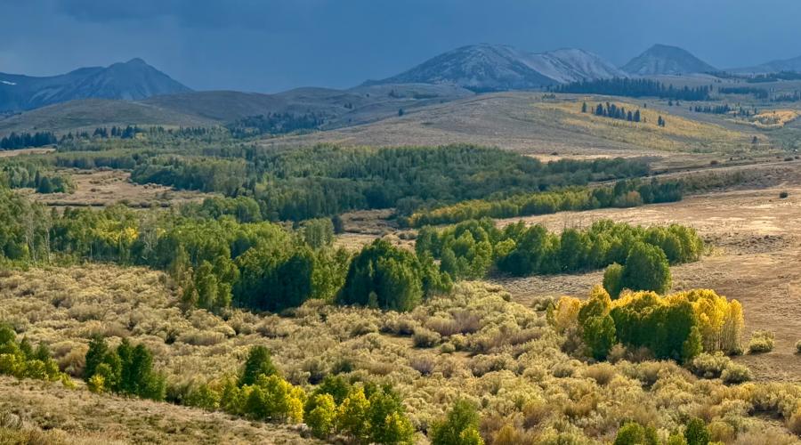 Aspen and mountains backset by dark thunderstorm skies