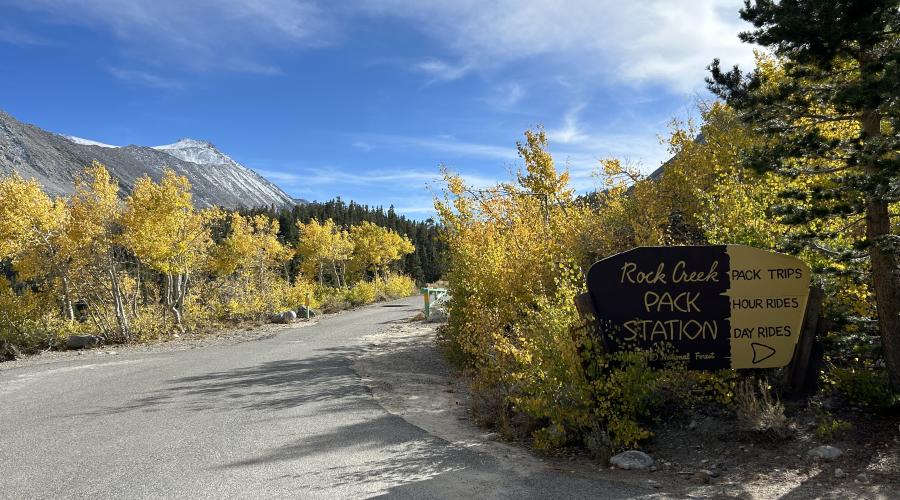 9-23-24_Rock Creek_Mono County Tourism_Fall Colors-1