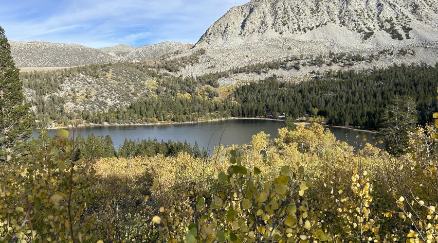 9-23-24_Rock Creek_Mono County Tourism_Fall Colors-1