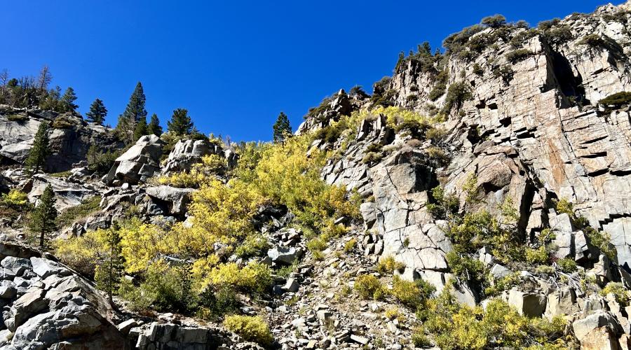 9-24-24_Tioga Pass_Mono County Tourism