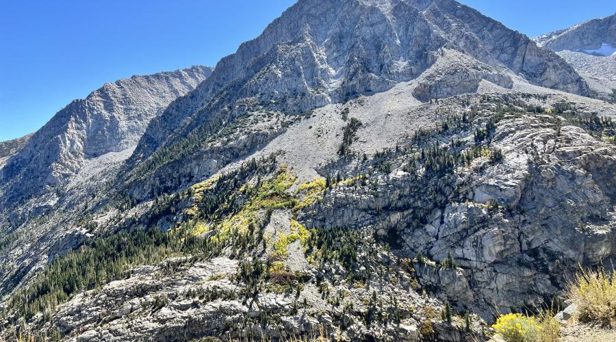 9-24-24_Tioga Pass_Mono County Tourism