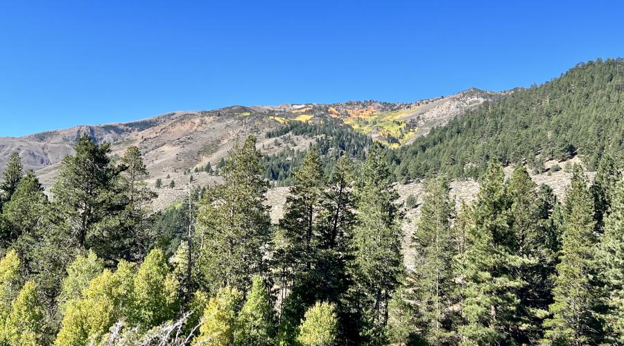 9-24-24_Twin Lakes Bridgeport_Mono County Tourism