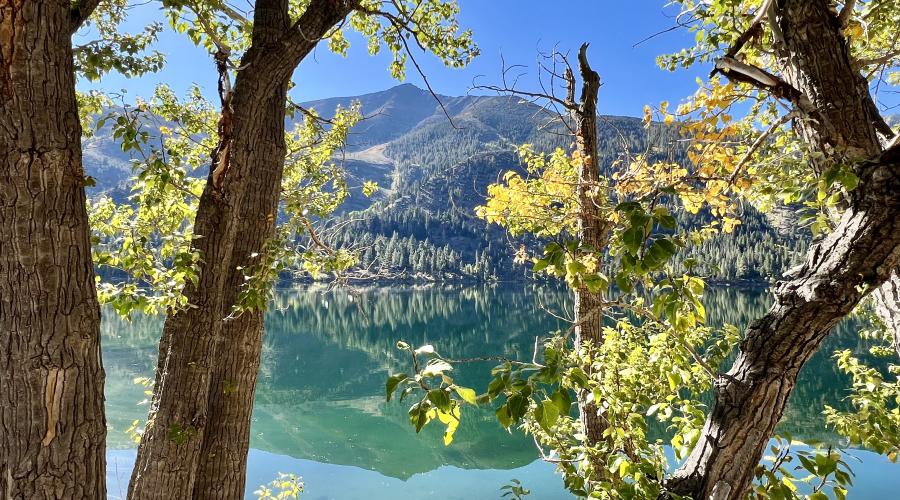 9-24-24_Twin Lakes Bridgeport_Mono County Tourism