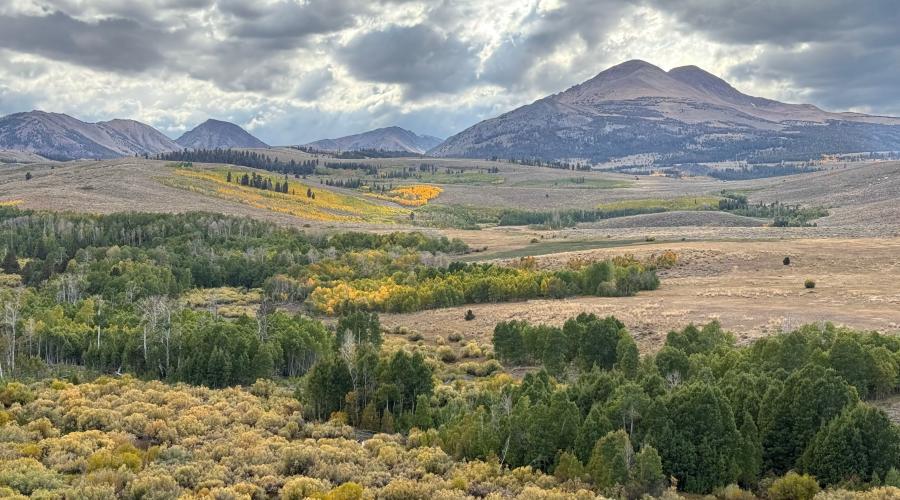 9.24.25 Conway Summit - Amanda Carlson, Mono County Tourism-1