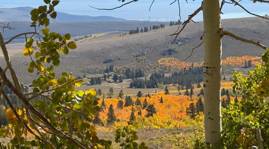 9.24.25 Virginia Lakes Road - Amanda Carlson, Mono County Tourism