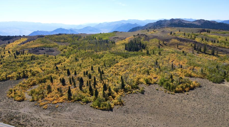 9.25.24 Monitor Pass by Sean Robinson, Mono County
