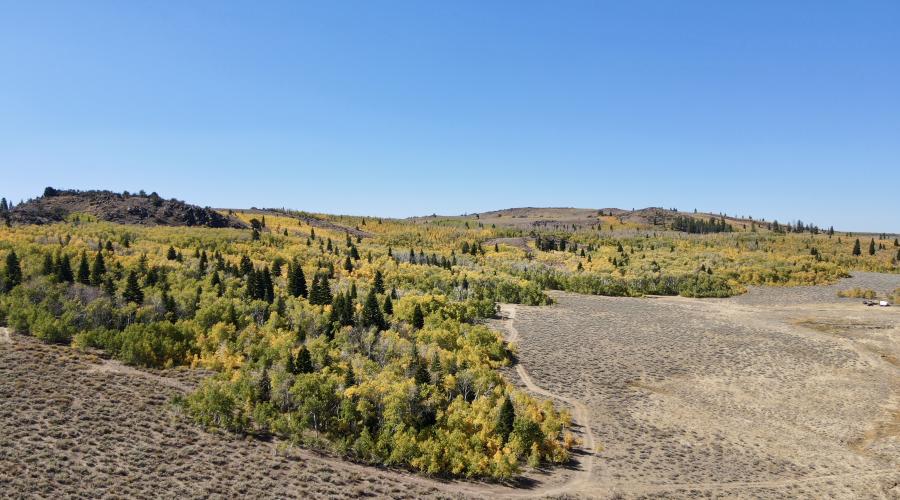9.25.24 Monitor Pass by Sean Robinson, Mono County