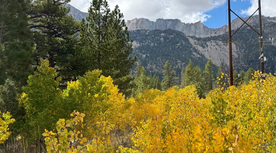 9.28.26 Lee Vining Canyon - Amanda Carlson, Mono County Tourism