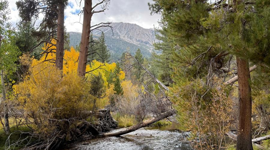 9.28.26 Lee Vining Canyon - Amanda Carlson, Mono County Tourism