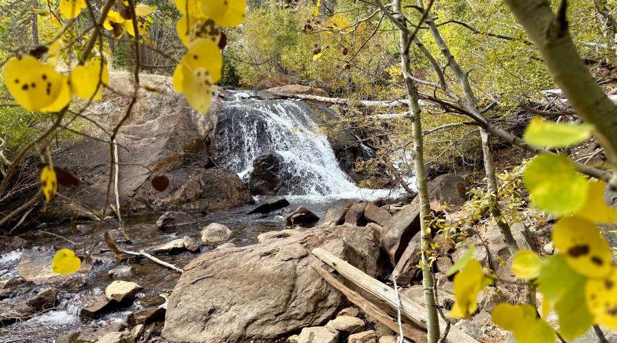 9.28.26 Lundy Canyon - Amanda Carlson, Mono County Tourism
