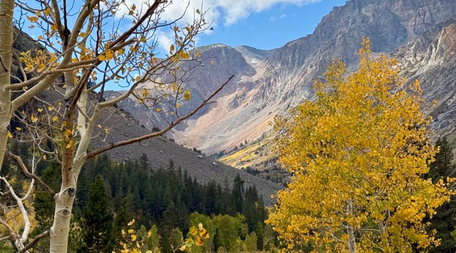 9.28.26 Lundy Canyon - Amanda Carlson, Mono County Tourism