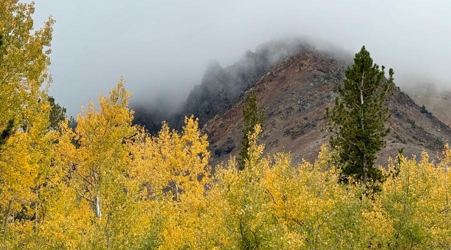 9.28.26 Virginia Lakes - Amanda Carlson, Mono County Tourism